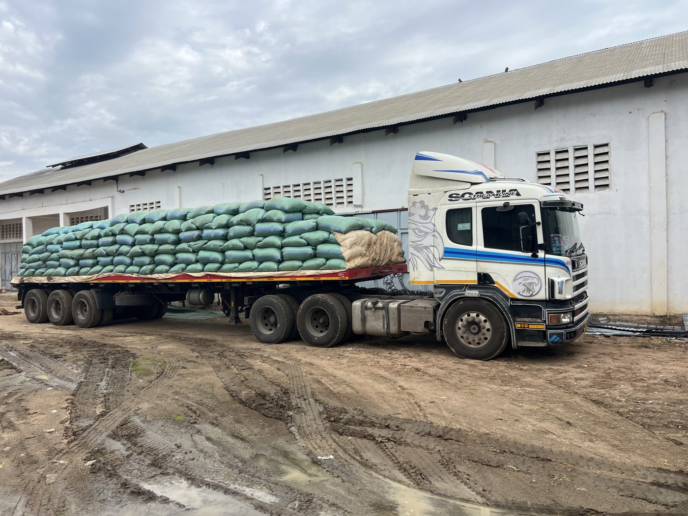 GIAH Agro export-ready truck loaded with sacks