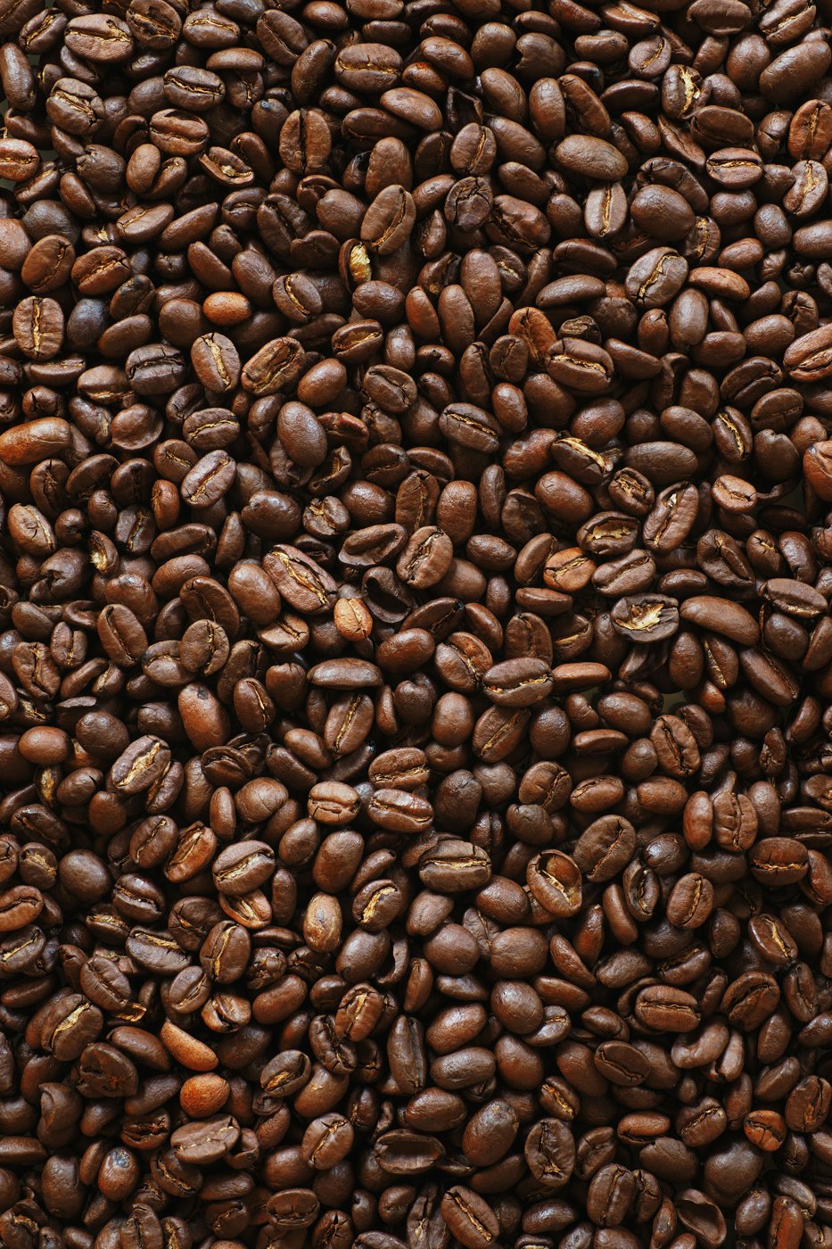 Roasted coffee beans