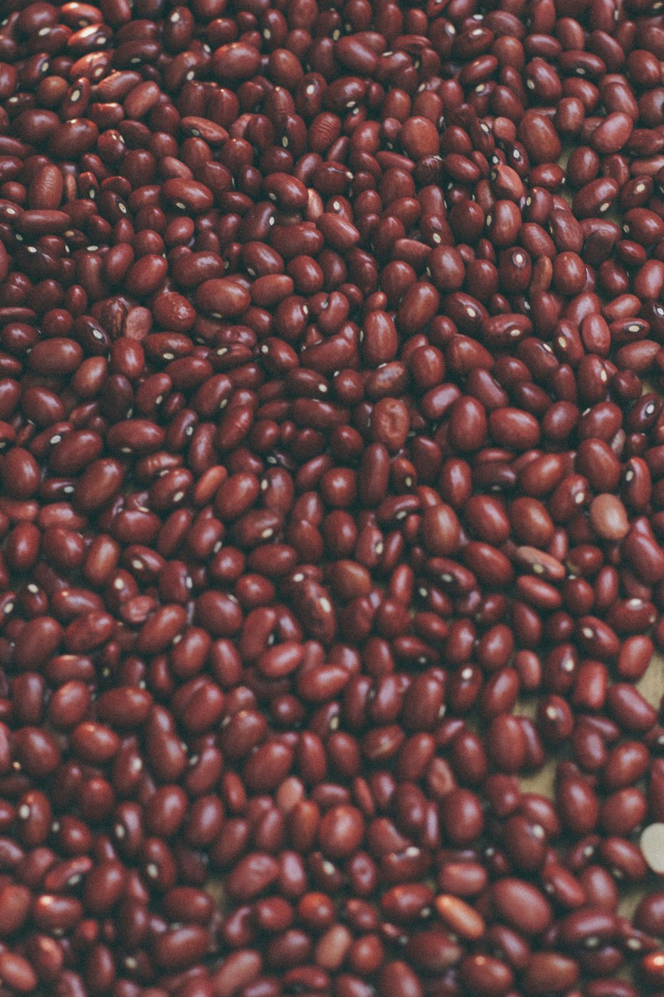 Red kidney beans