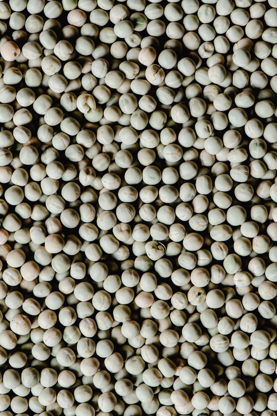 Pigeon peas sourced by GIAH Agro